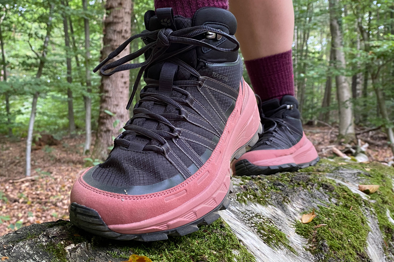 Ansicht eines Wanderschuhs von Jack Wolfskin